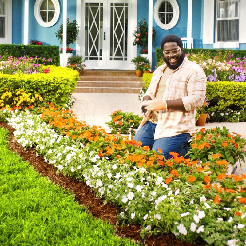 Person gardening in his front yard with flowers surrounding the walkway